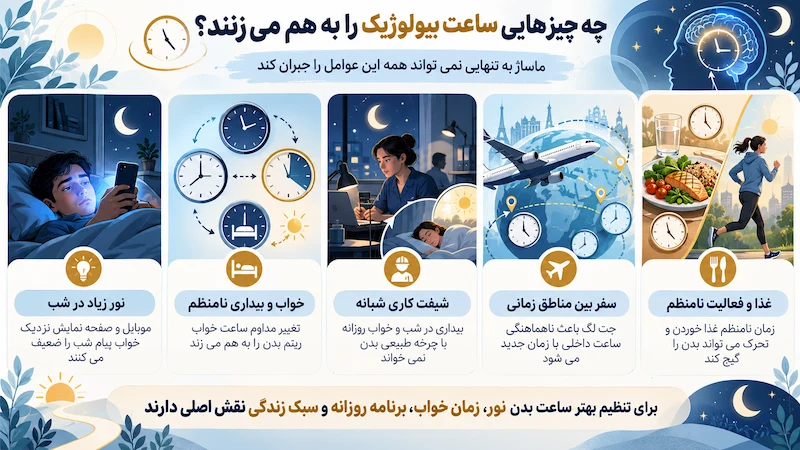 اینفوگرافیک عوامل برهم زننده ساعت بیولوژیک بدن شامل نور شب خواب نامنظم شیفت کاری سفر و برنامه غذایی