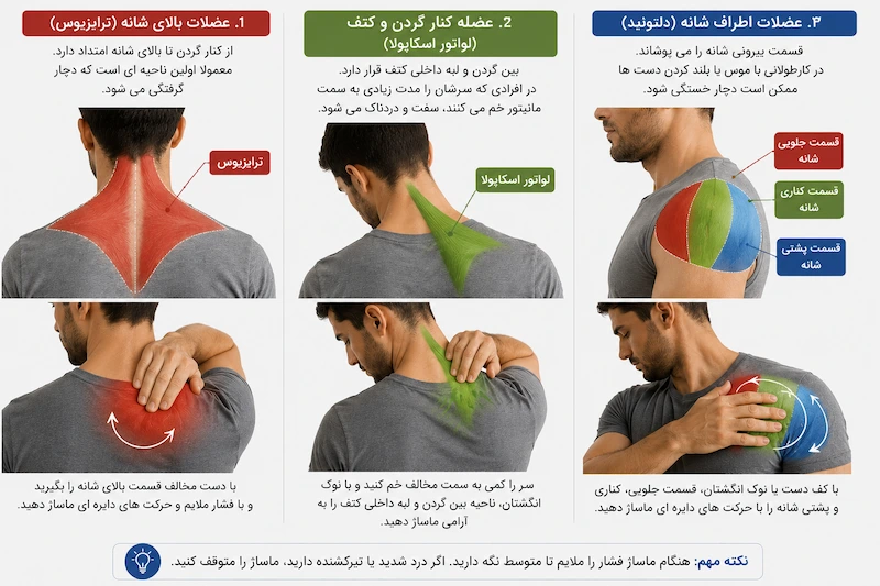 اموزش خود ماساژی بین دو کتف