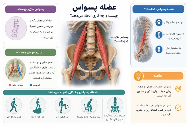 عضله پسواس چیست