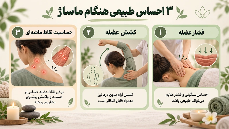 نقاط حساس عضلات هنگام ماساژ و واکنش بدن به فشار
