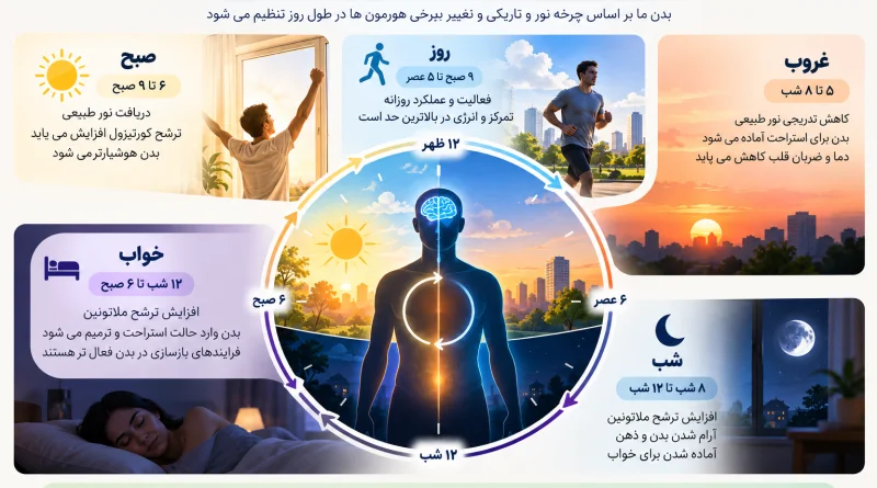 چرخه 24 ساعته ساعت بیولوژیک بدن